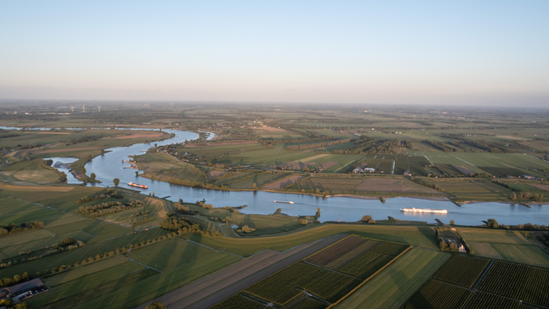 Beeld: Drew McArthur/Shutterstock.com