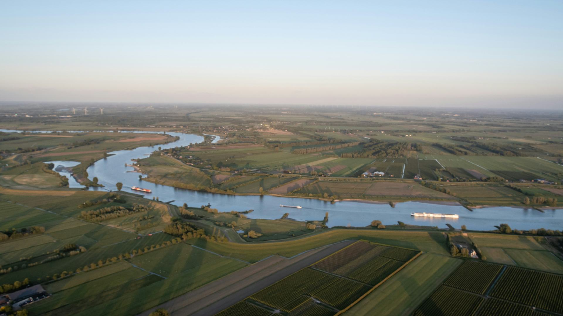 Beeld: Drew McArthur/Shutterstock.com