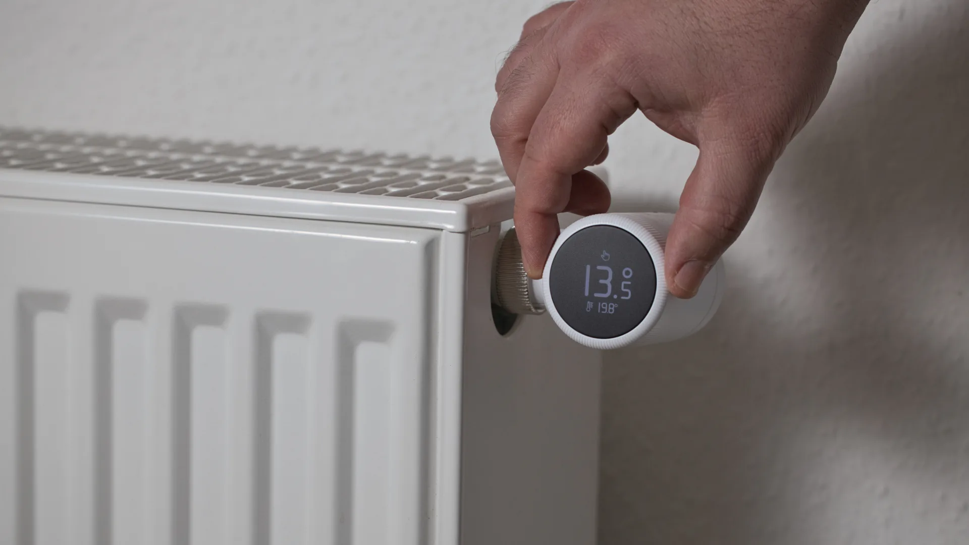 Beeld: g10-visuals/Shutterstock.com