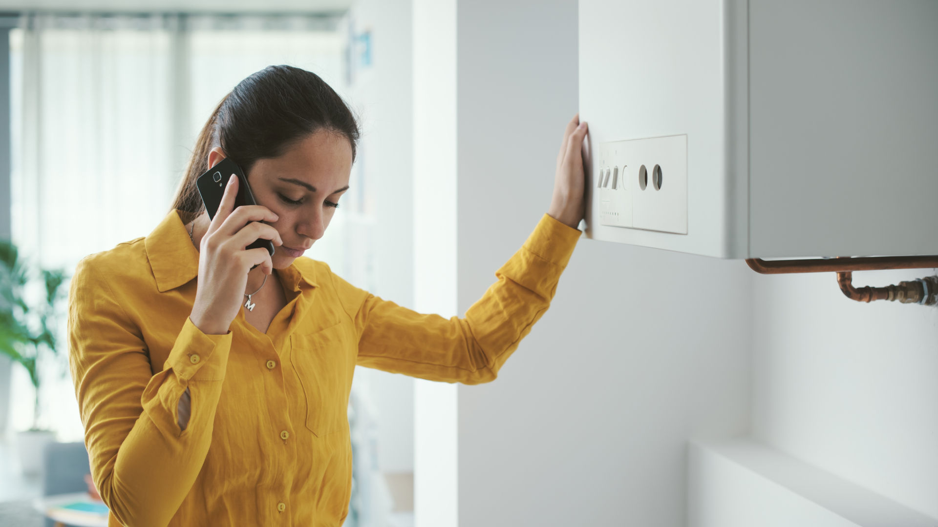 Beeld: Stock_Asso/Shutterstock.com