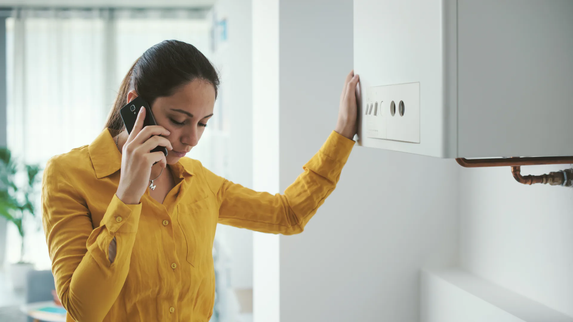 Beeld: Stock_Asso/Shutterstock.com