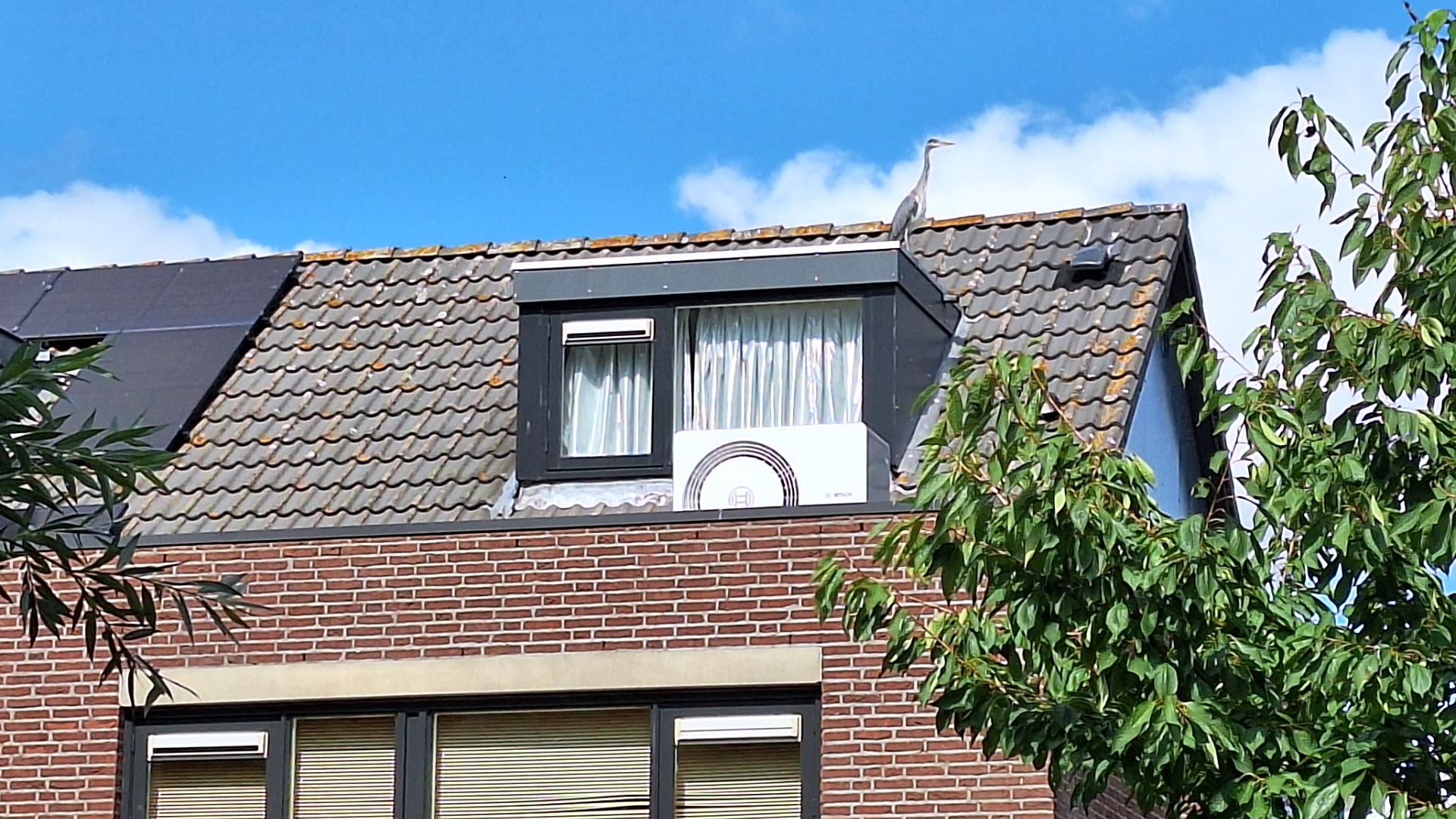 Warmtepomp in het wild - foto: Margo van Voskuilen