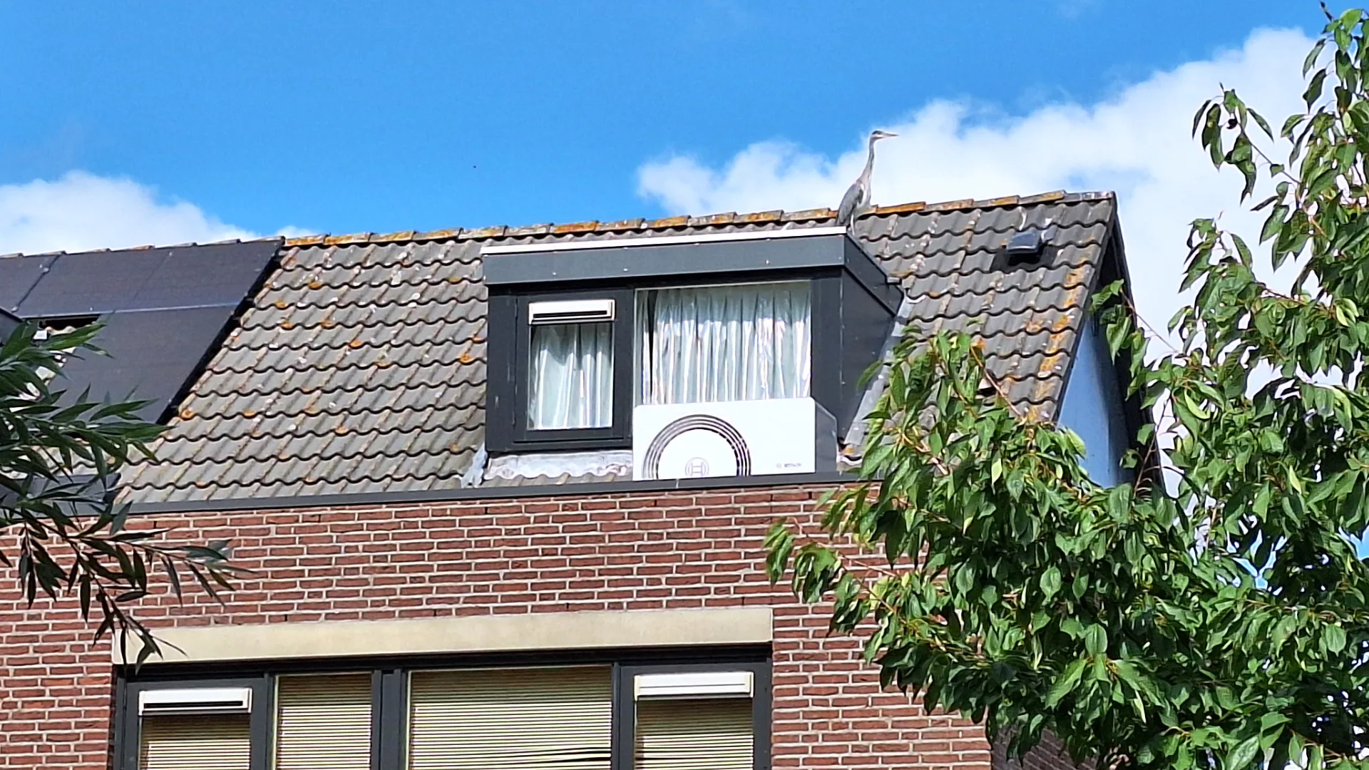 Warmtepomp in het wild - foto: Margo van Voskuilen