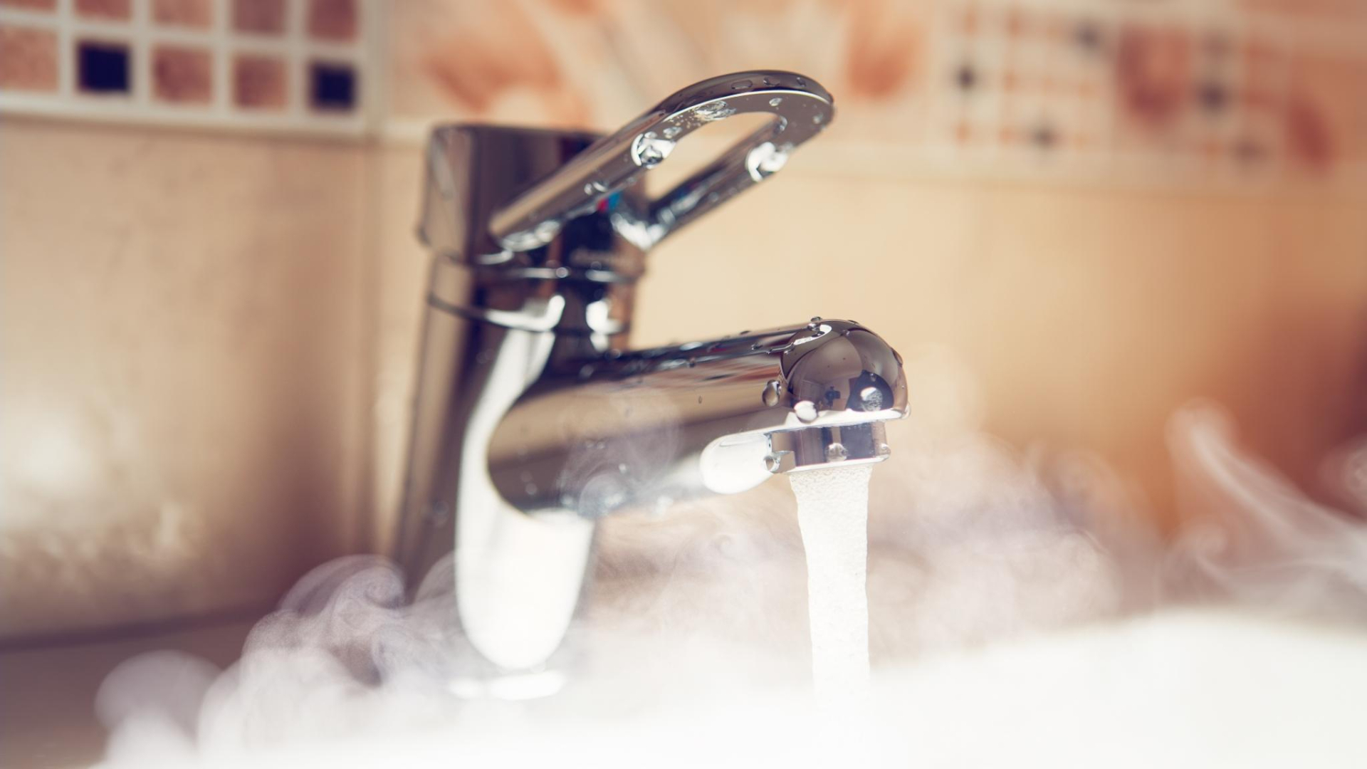 Foto: Nikkytok/Shutterstock.com